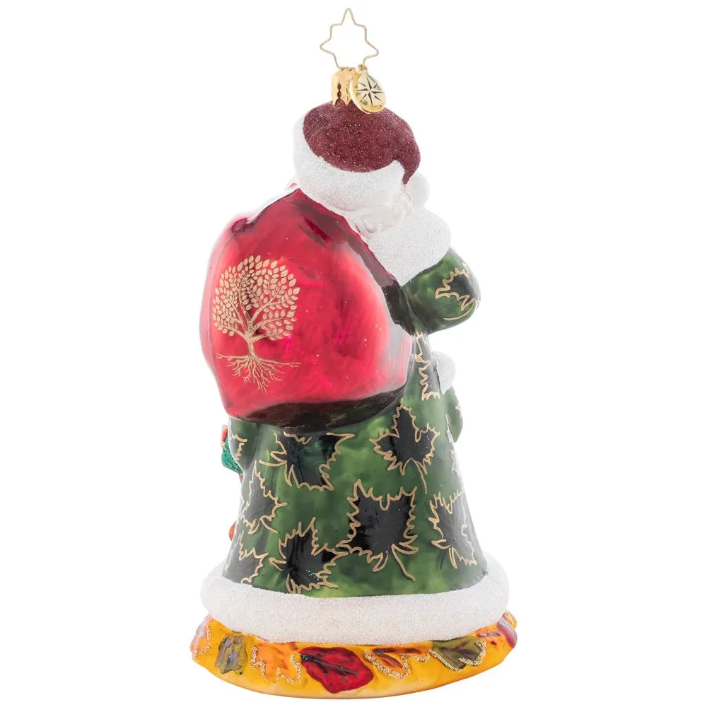Autumn Colors Ornament