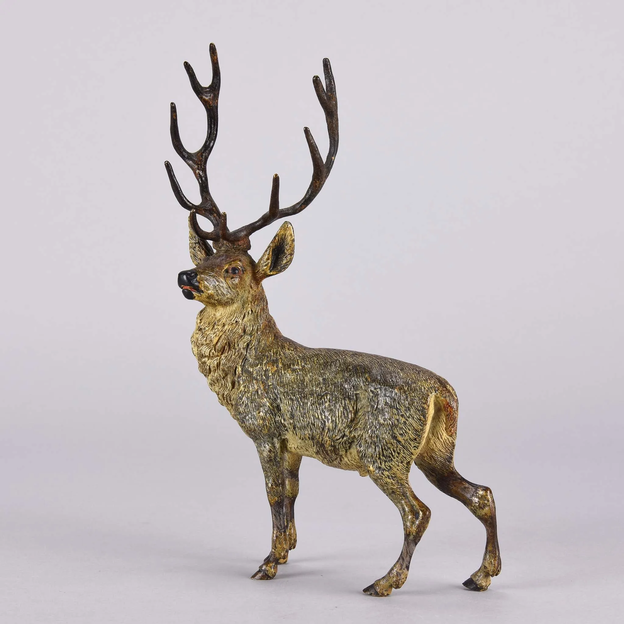 "Alert Stag" by Franz Bergman