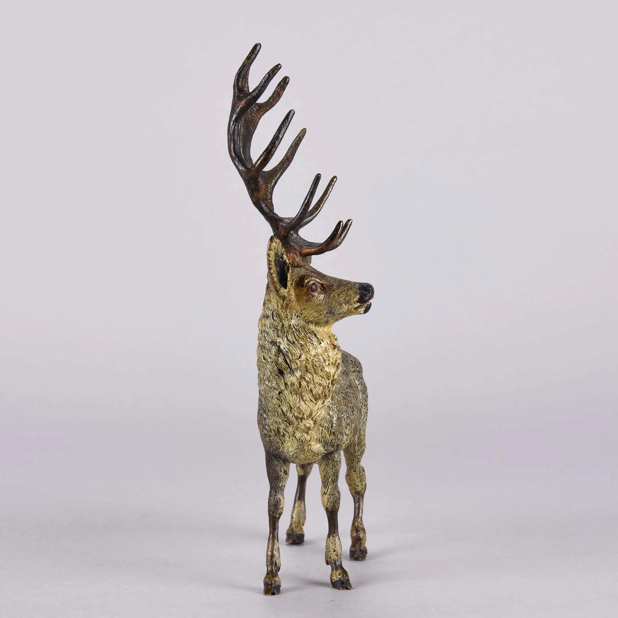 "Alert Stag" by Franz Bergman