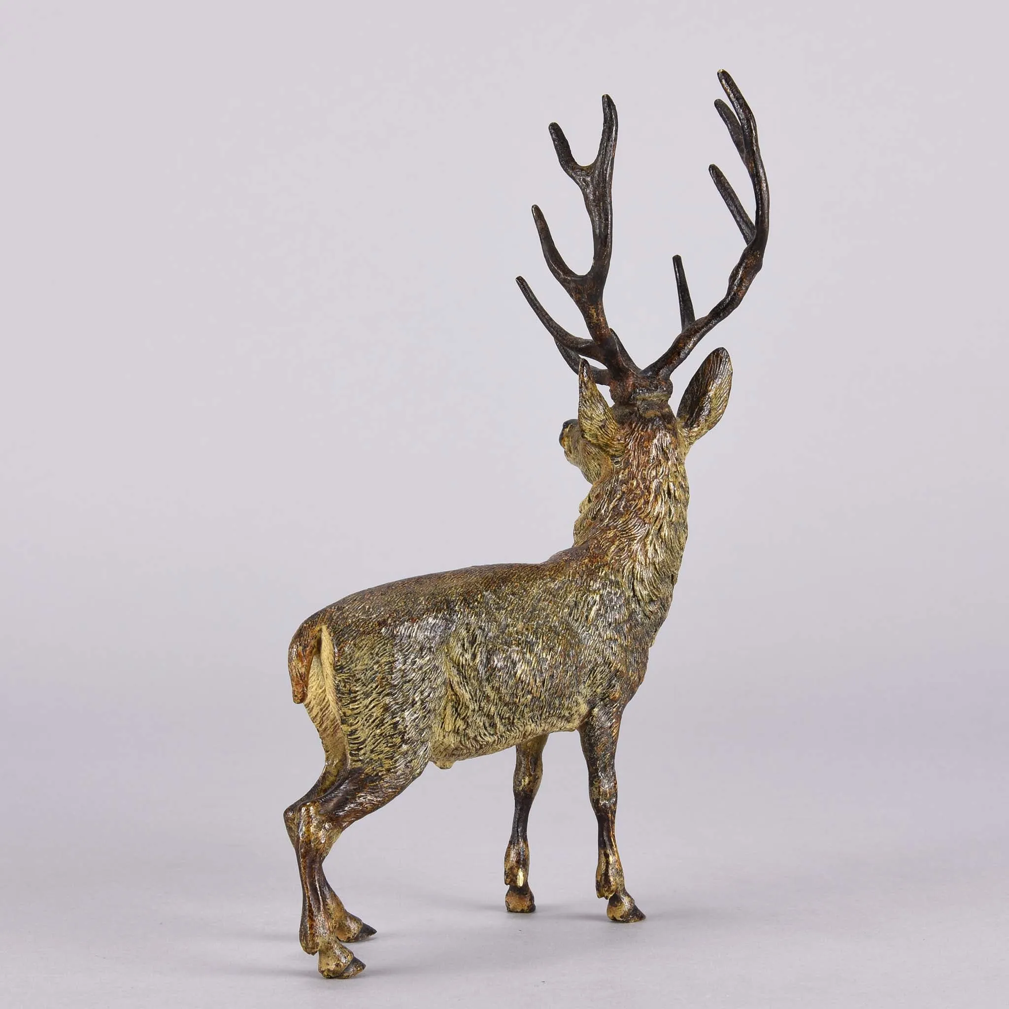 "Alert Stag" by Franz Bergman