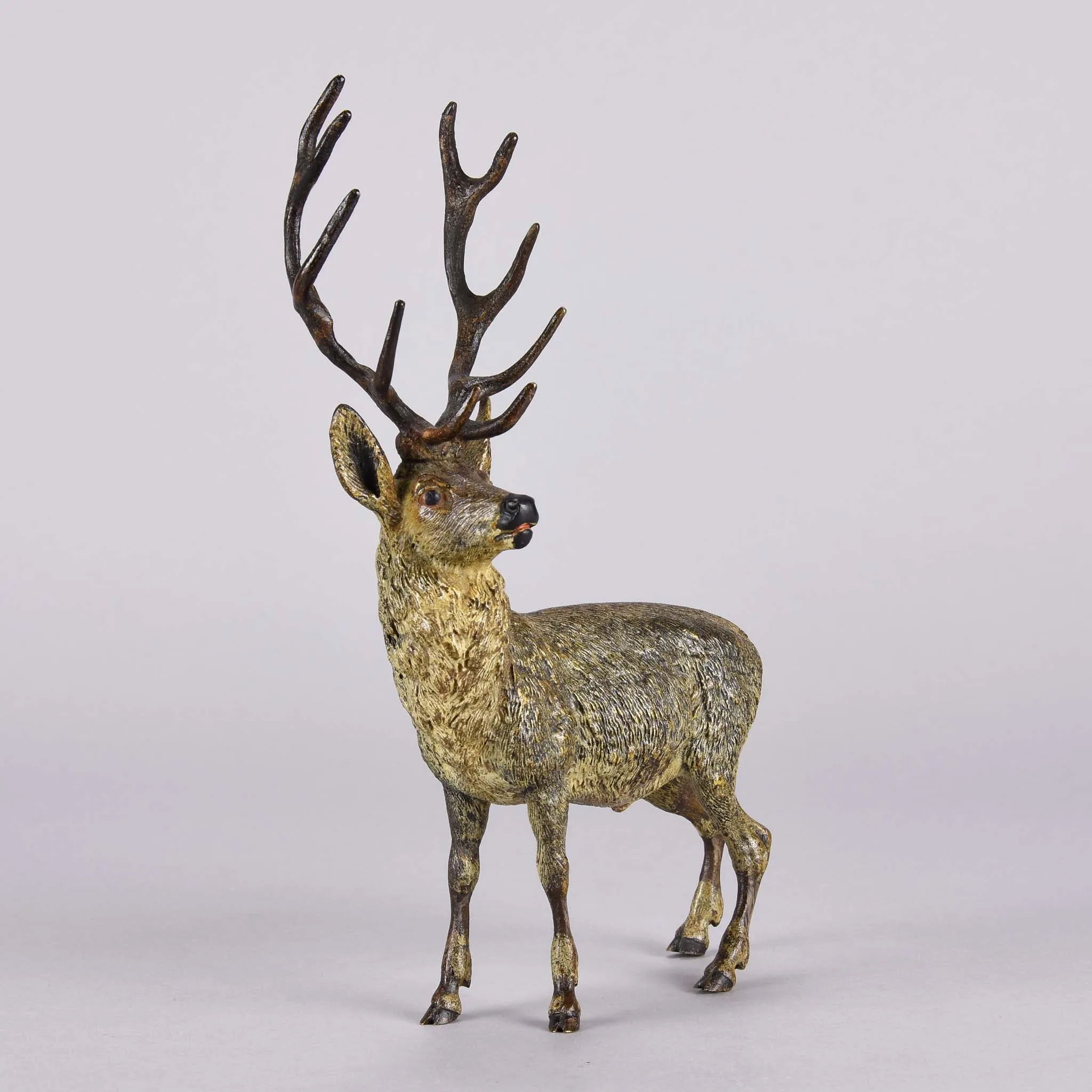 "Alert Stag" by Franz Bergman