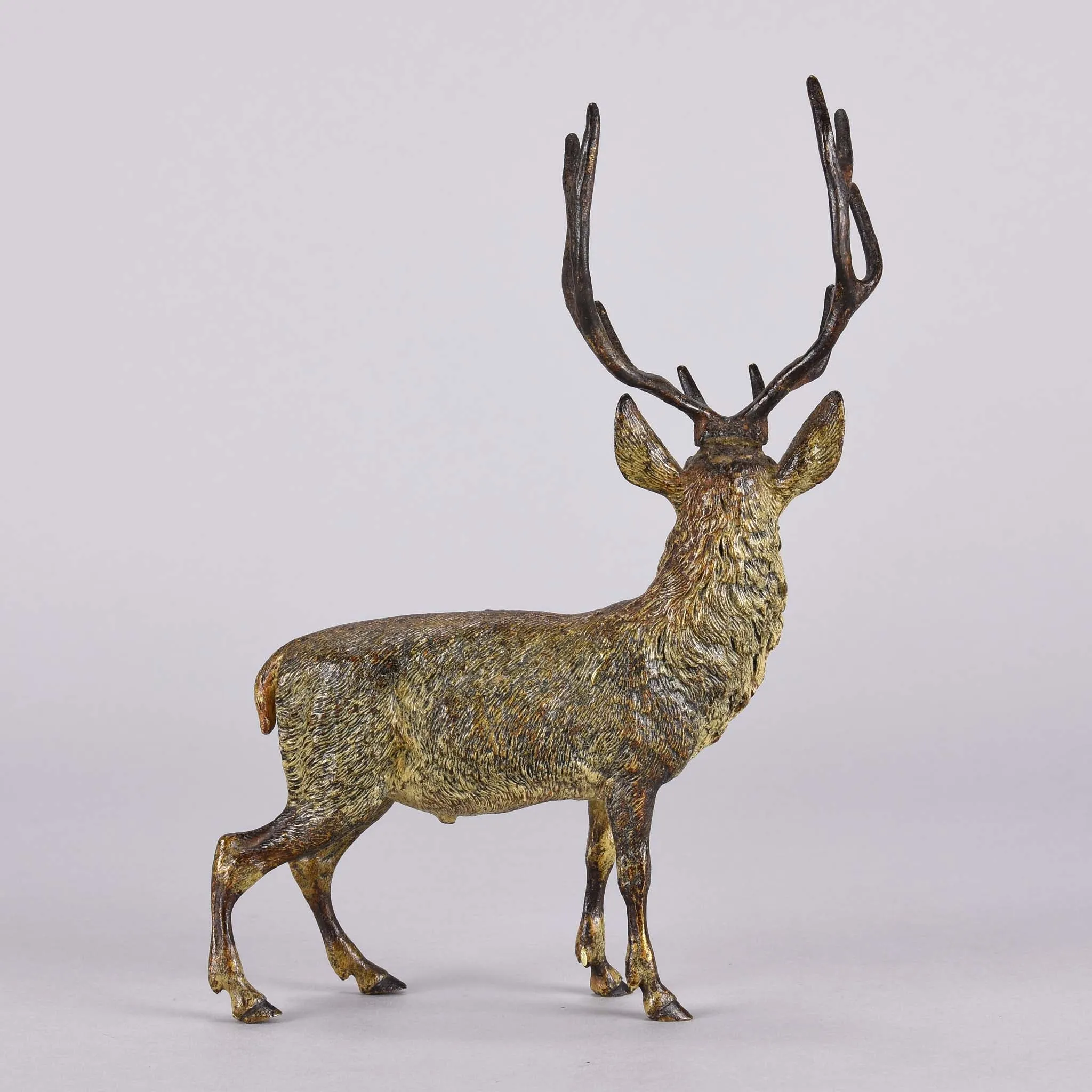 "Alert Stag" by Franz Bergman