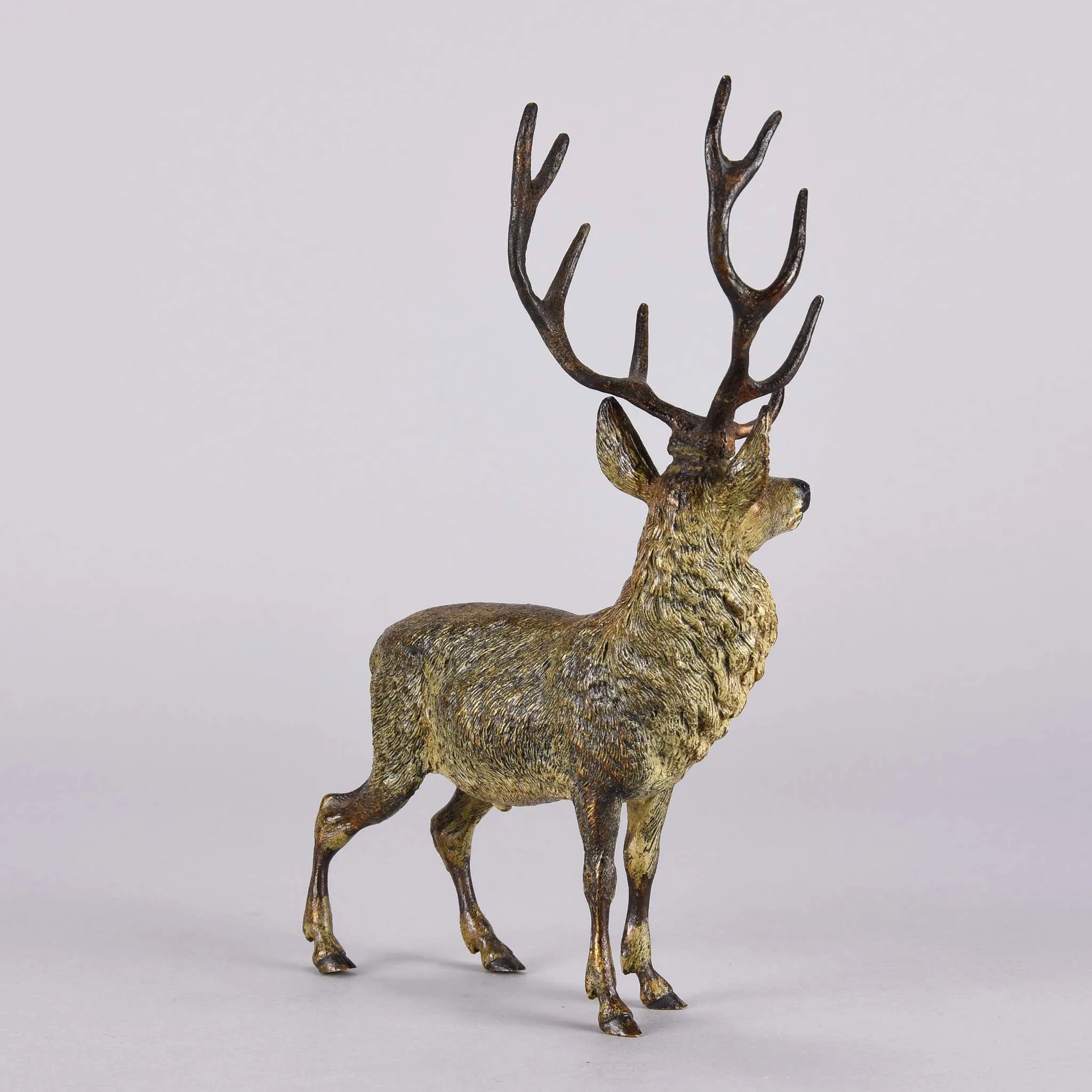"Alert Stag" by Franz Bergman