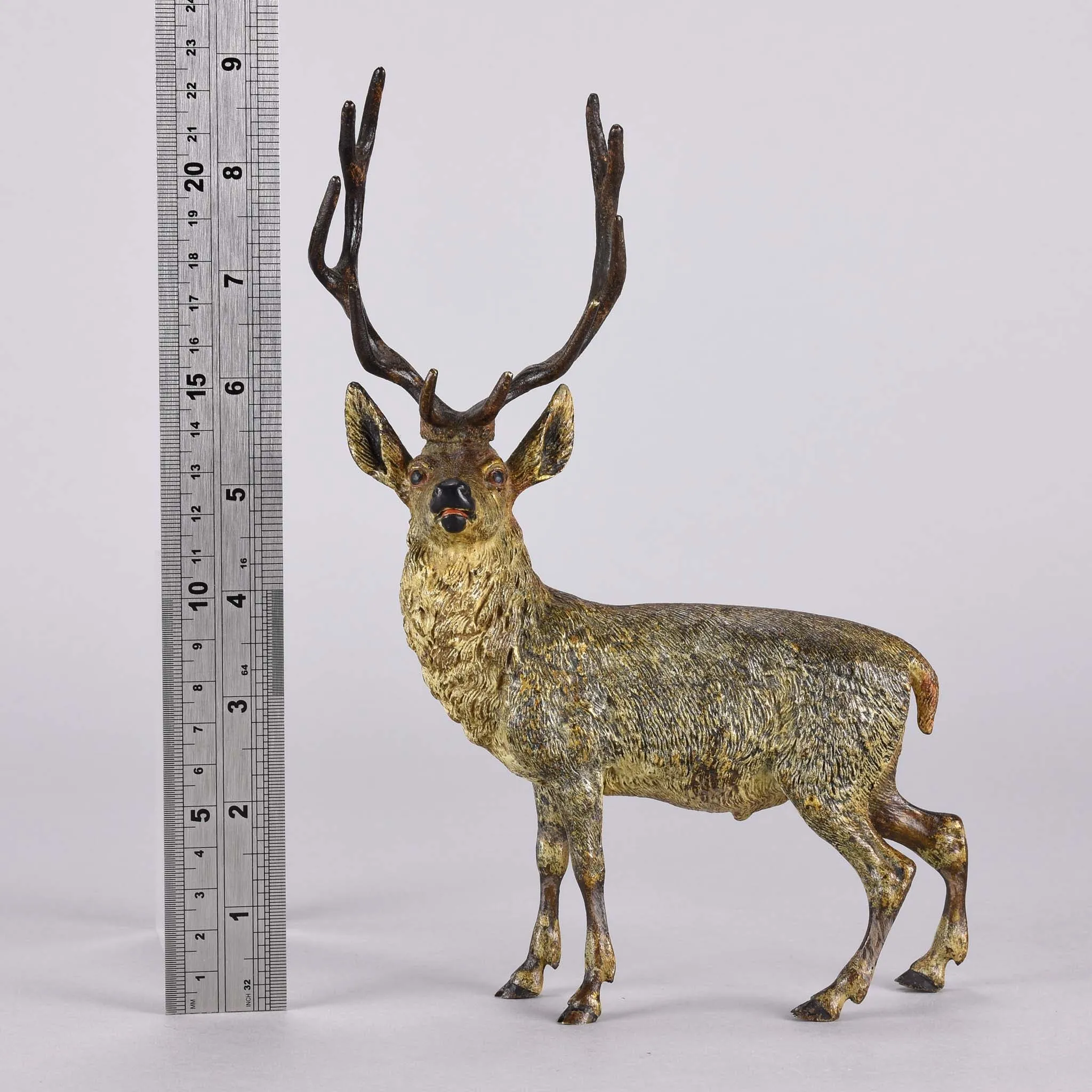 "Alert Stag" by Franz Bergman