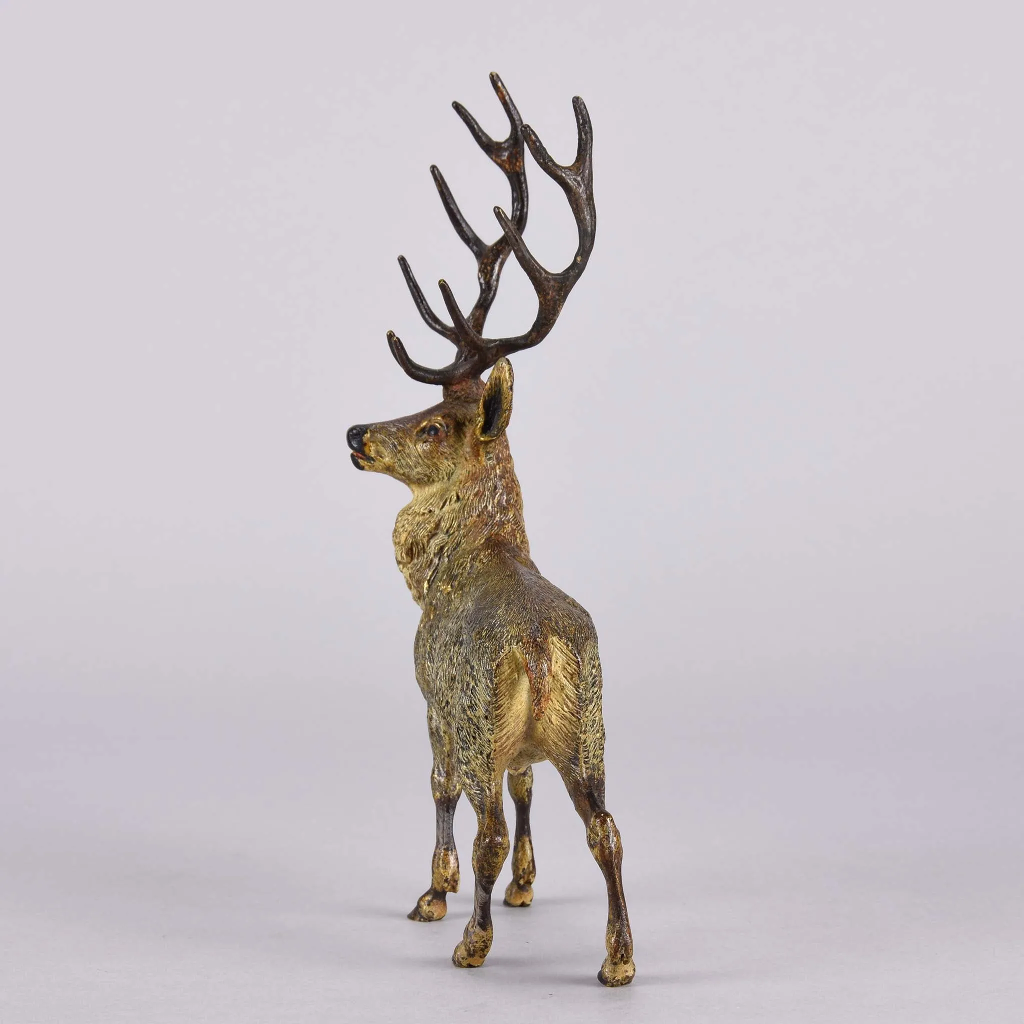 "Alert Stag" by Franz Bergman
