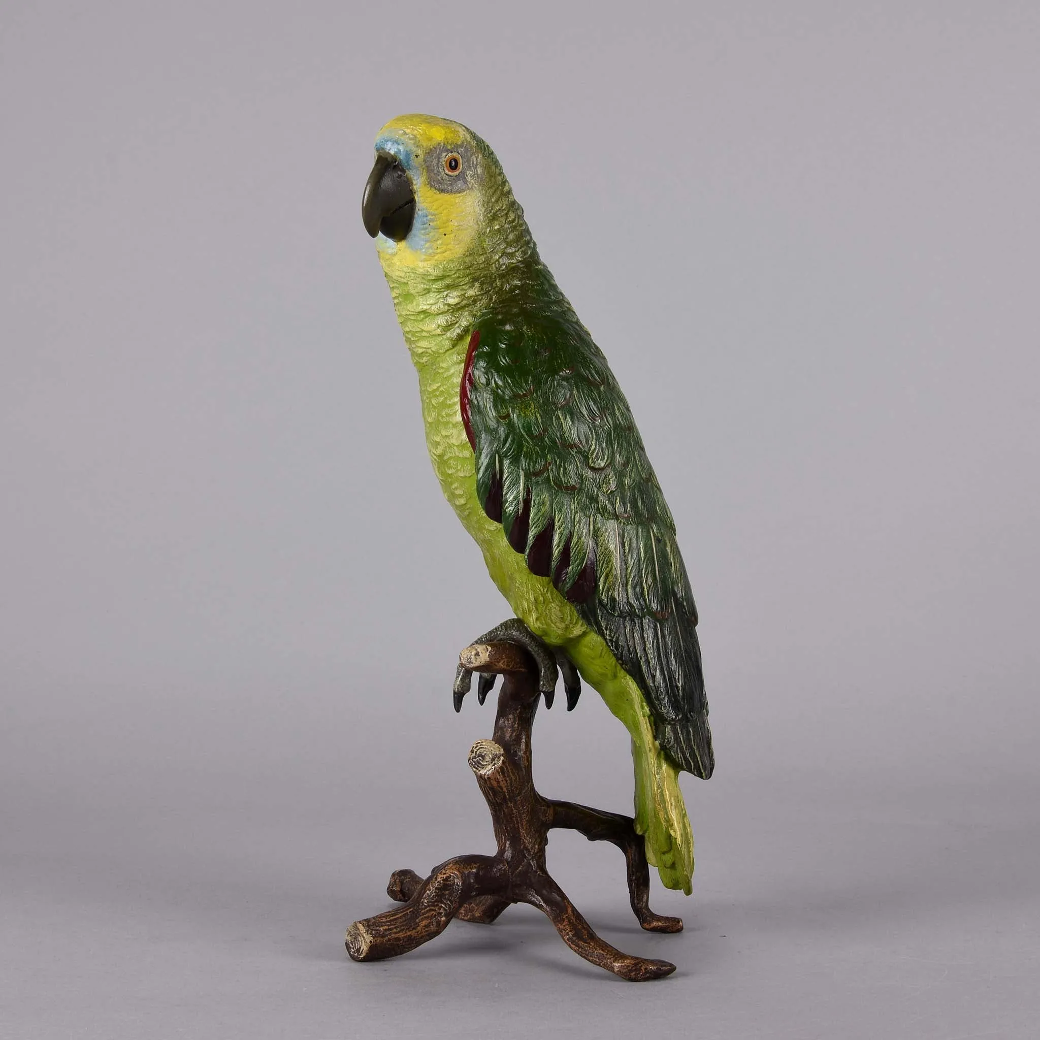 "Parrot on a Branch" by Franz Bergman