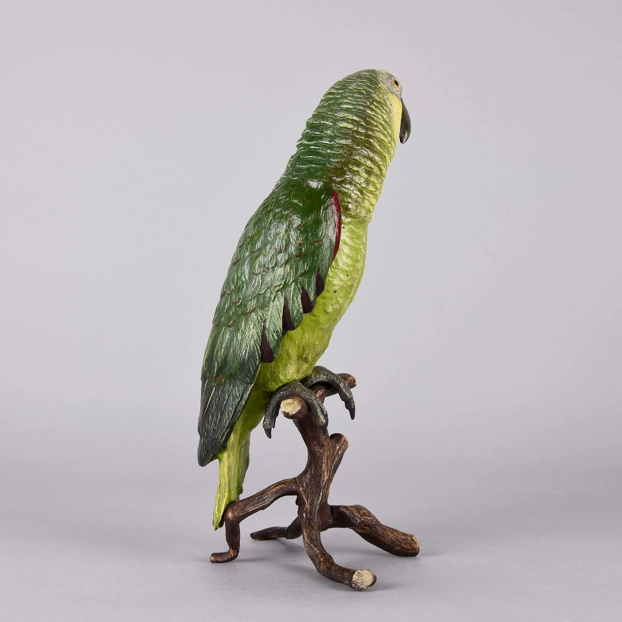 "Parrot on a Branch" by Franz Bergman