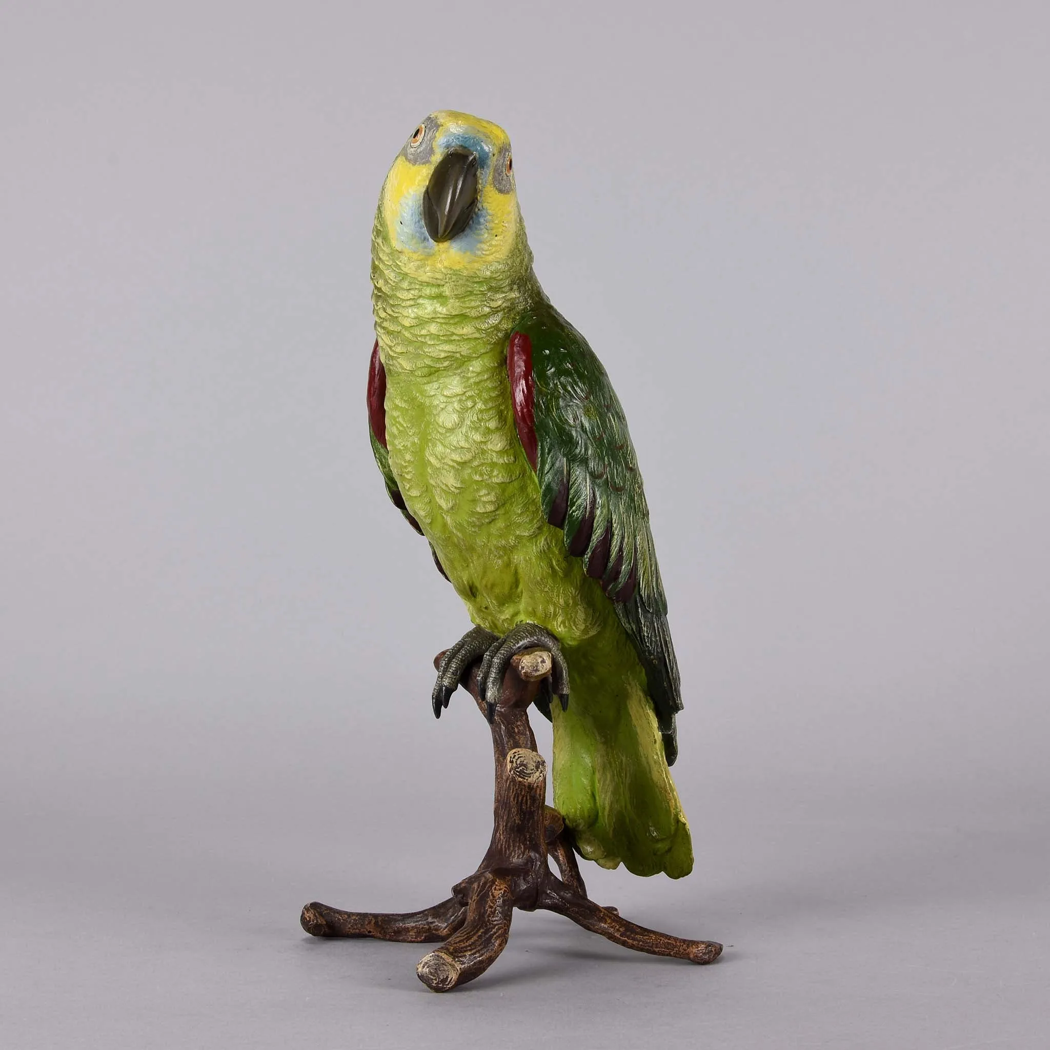 "Parrot on a Branch" by Franz Bergman