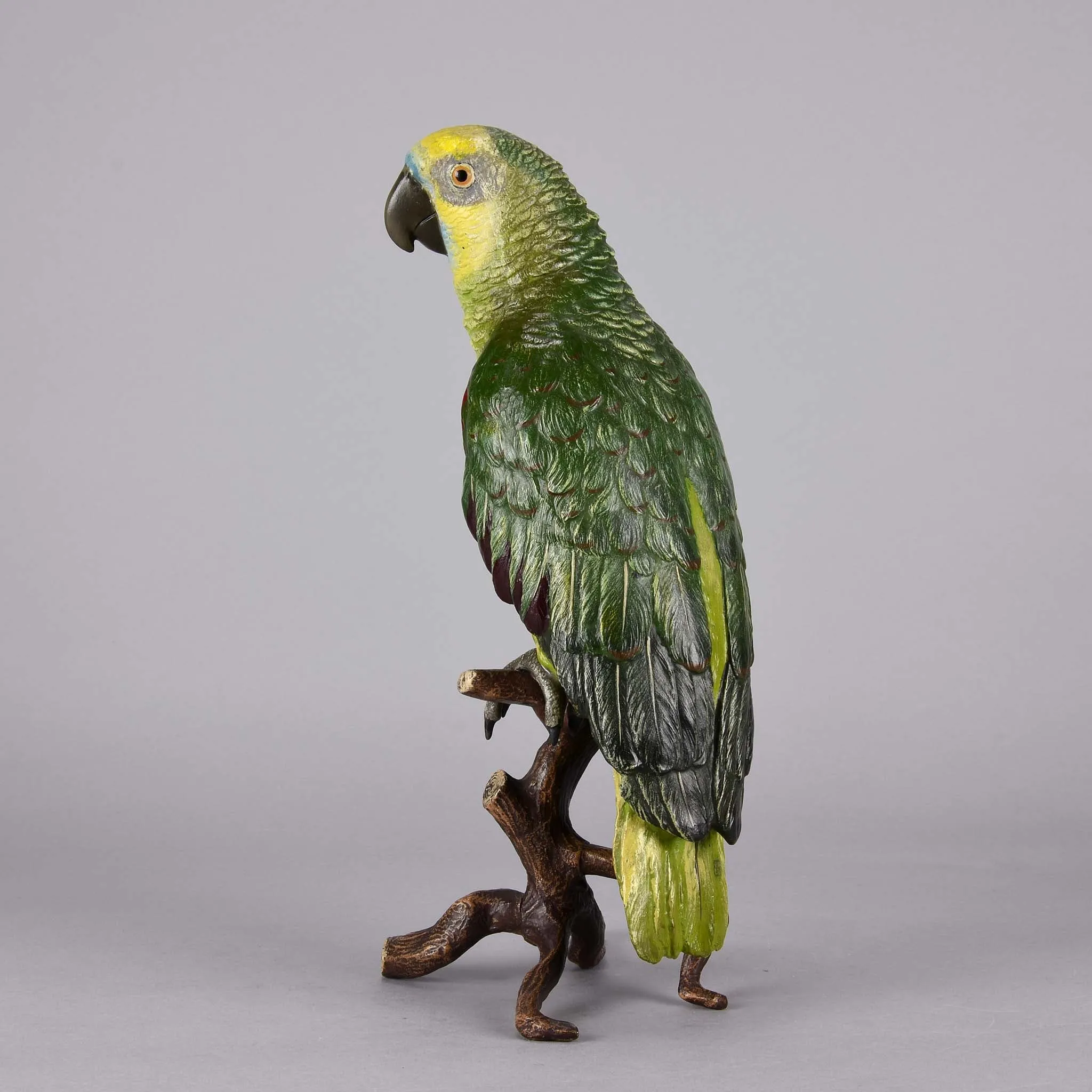 "Parrot on a Branch" by Franz Bergman