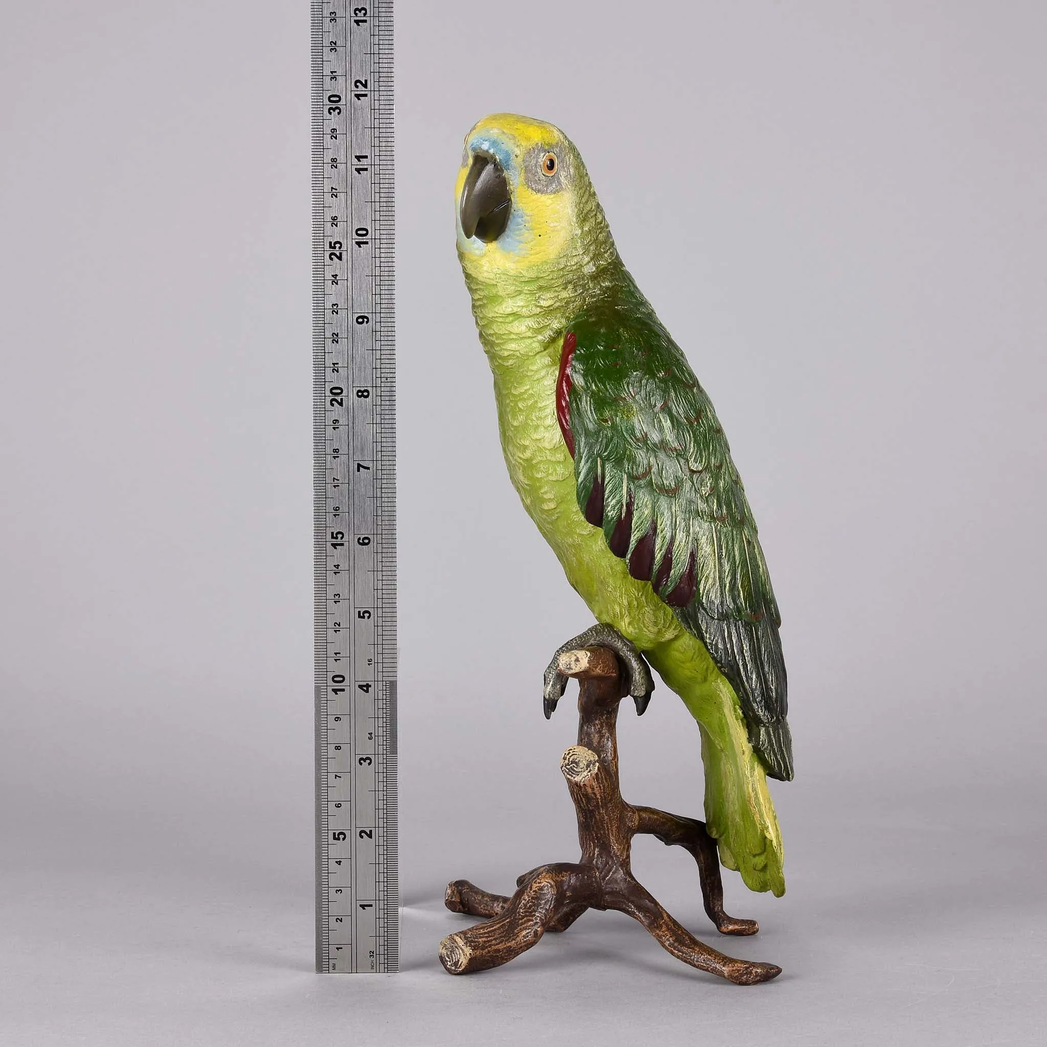 "Parrot on a Branch" by Franz Bergman
