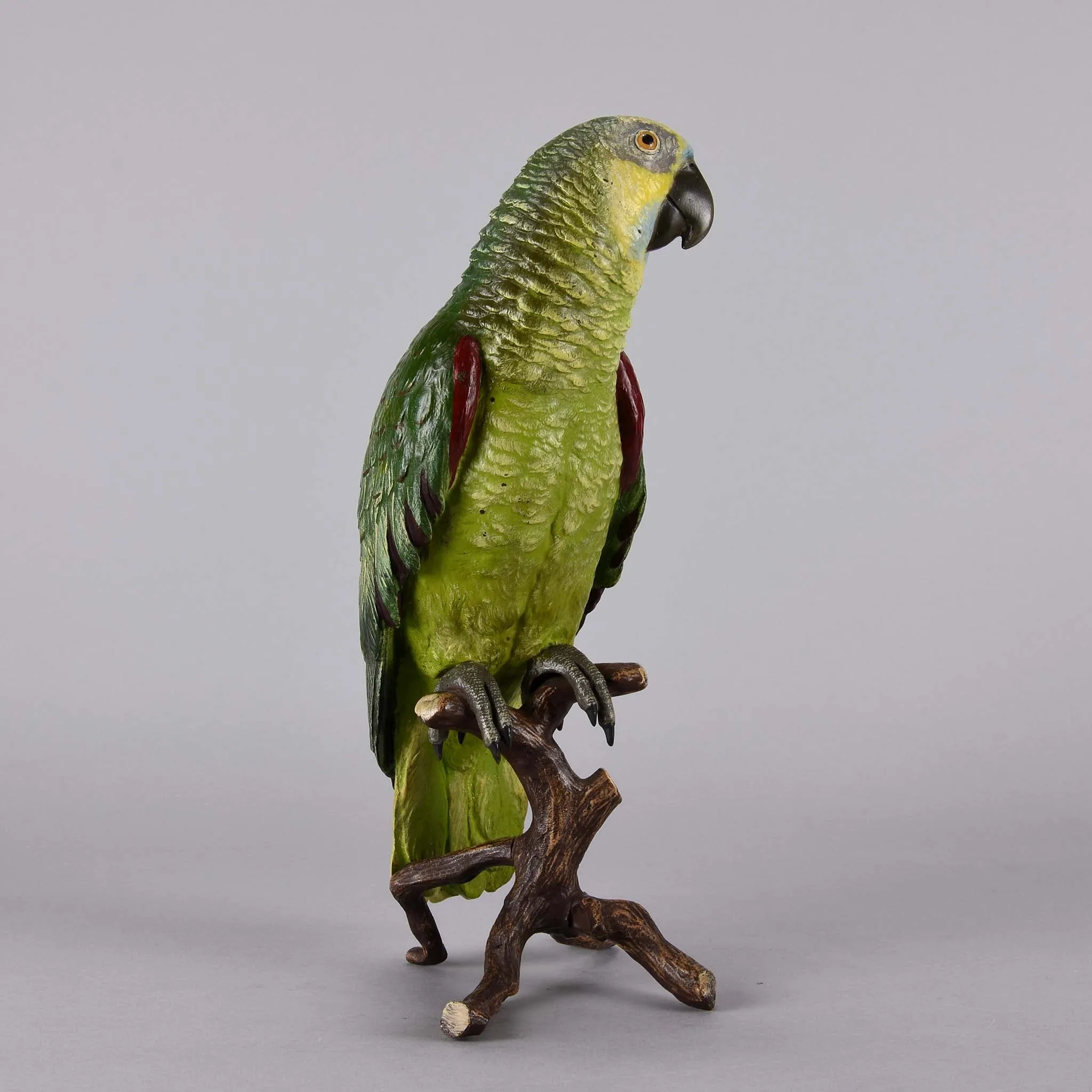 "Parrot on a Branch" by Franz Bergman