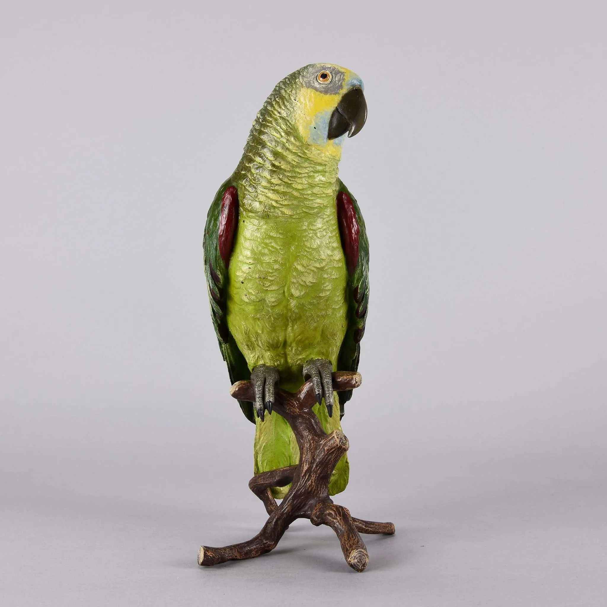 "Parrot on a Branch" by Franz Bergman