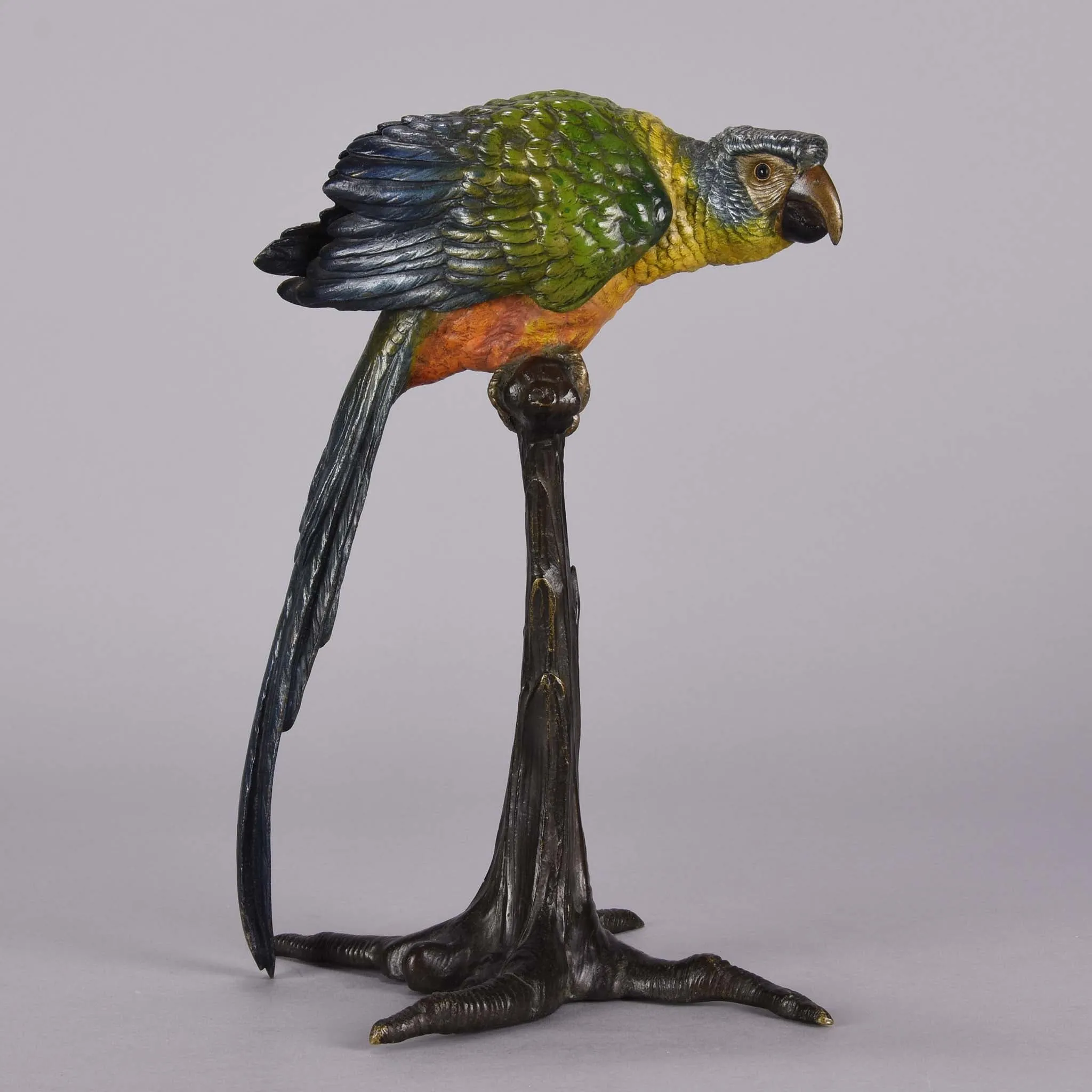 "Parrot on Branch" by Franz Bergman