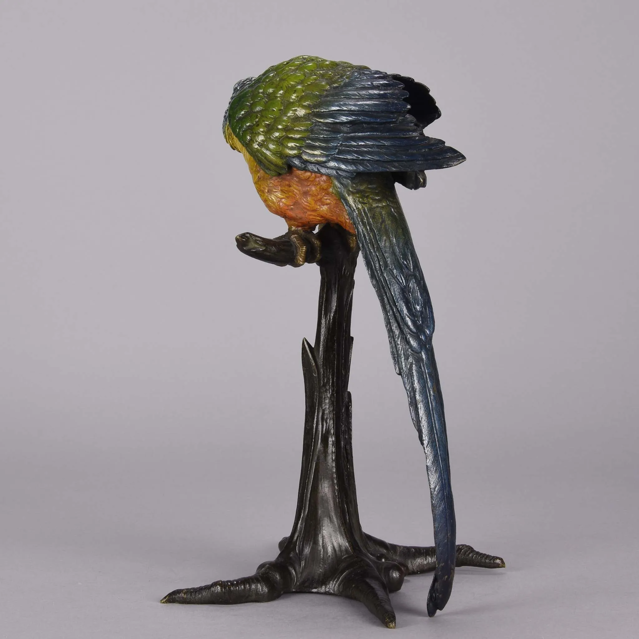 "Parrot on Branch" by Franz Bergman