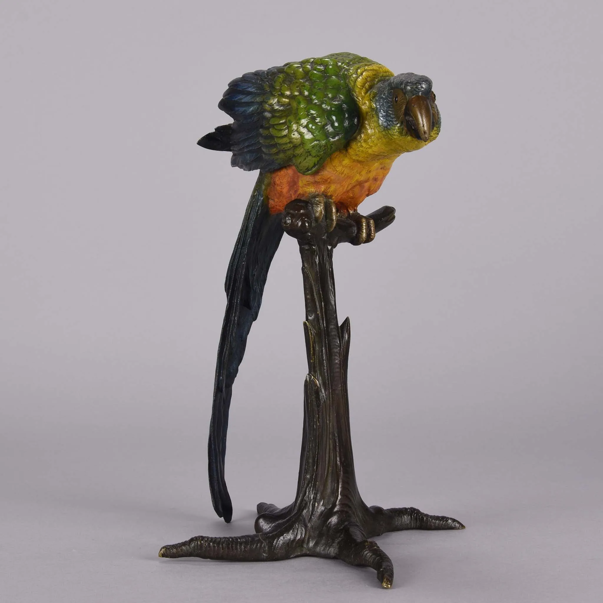 "Parrot on Branch" by Franz Bergman
