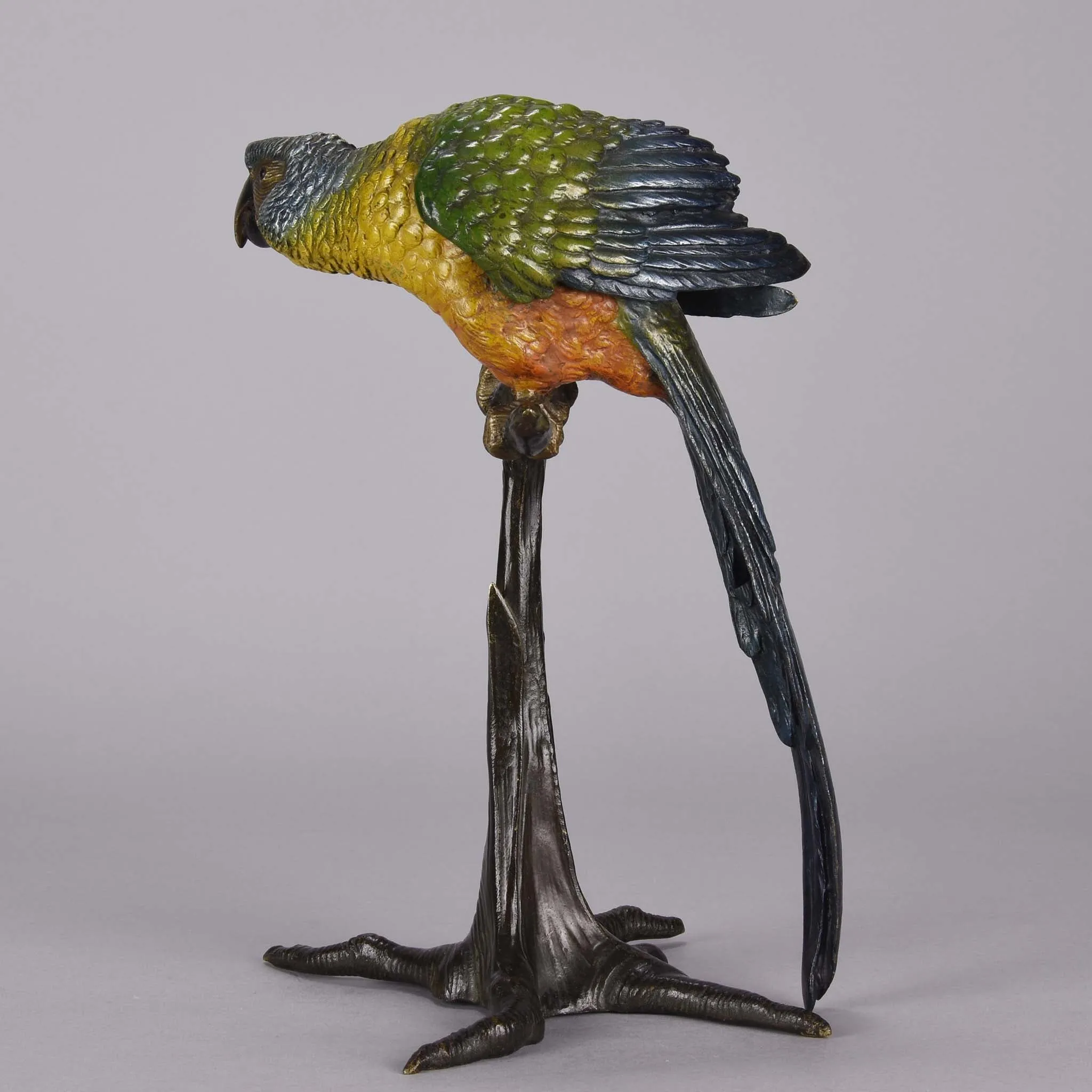 "Parrot on Branch" by Franz Bergman