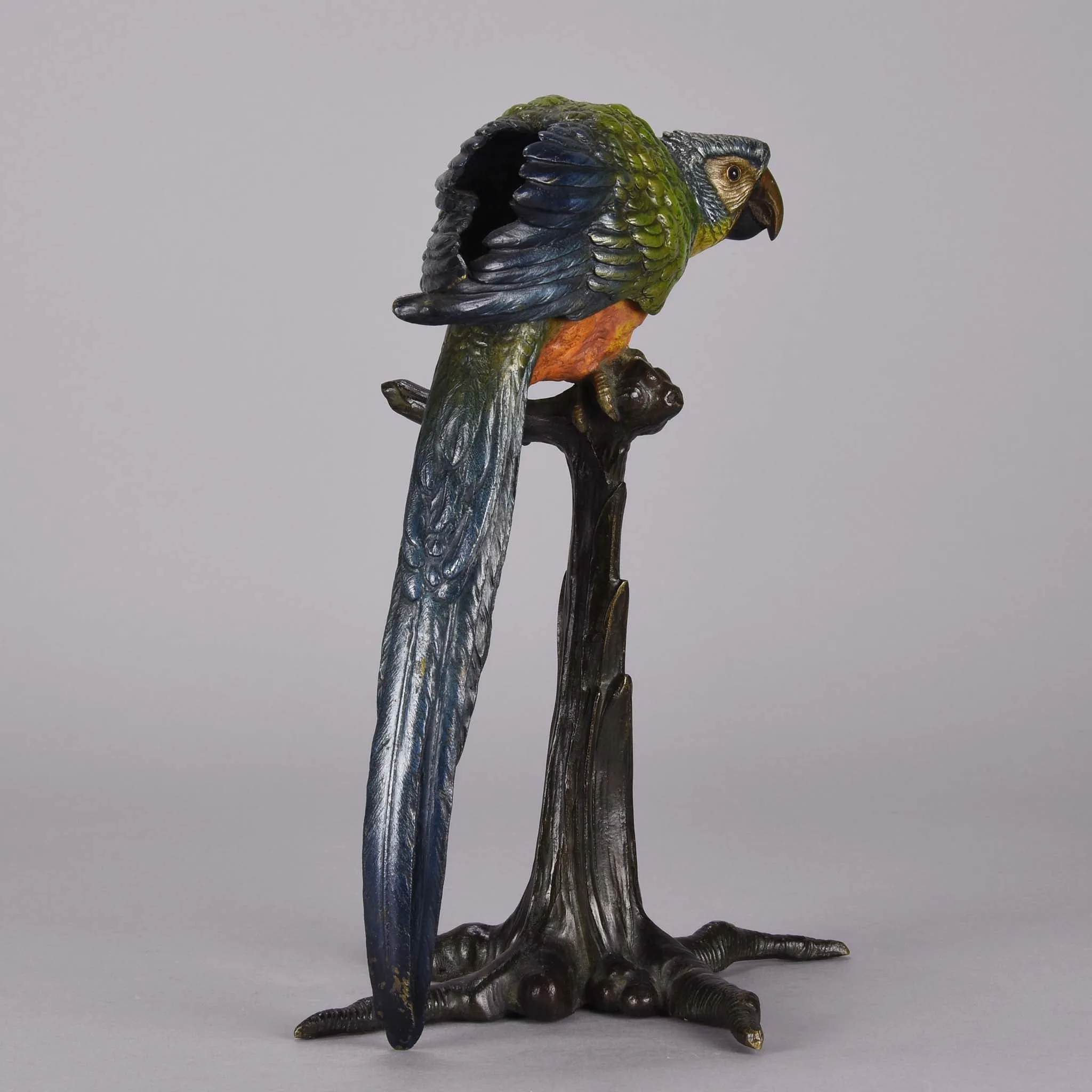 "Parrot on Branch" by Franz Bergman