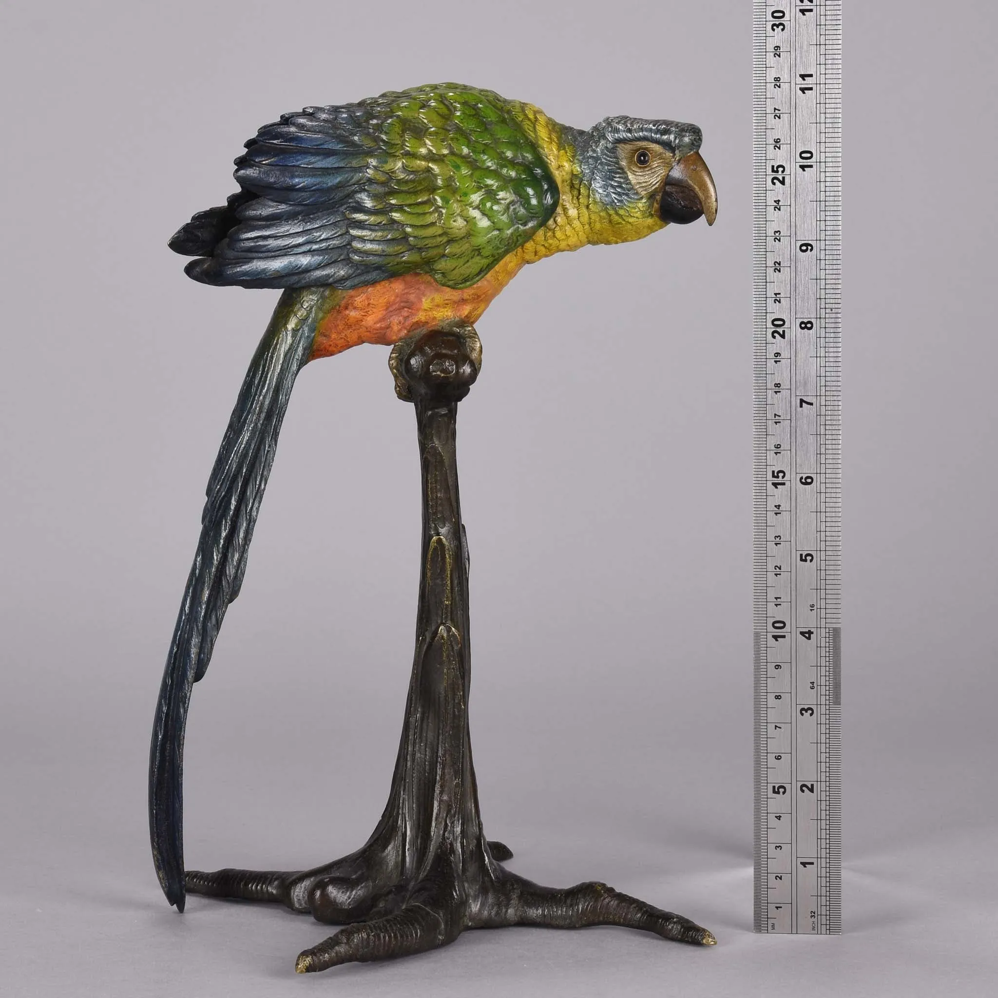 "Parrot on Branch" by Franz Bergman