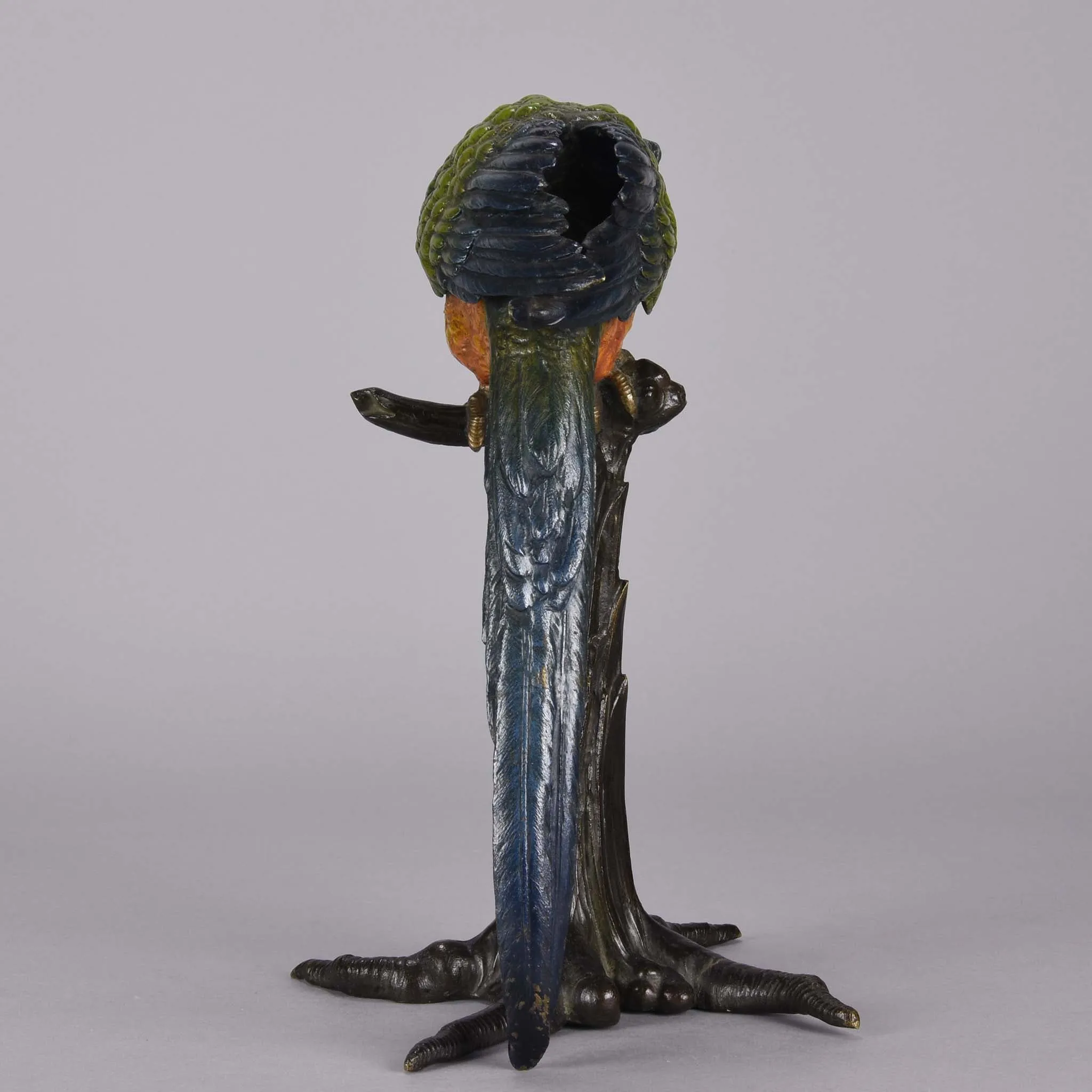"Parrot on Branch" by Franz Bergman