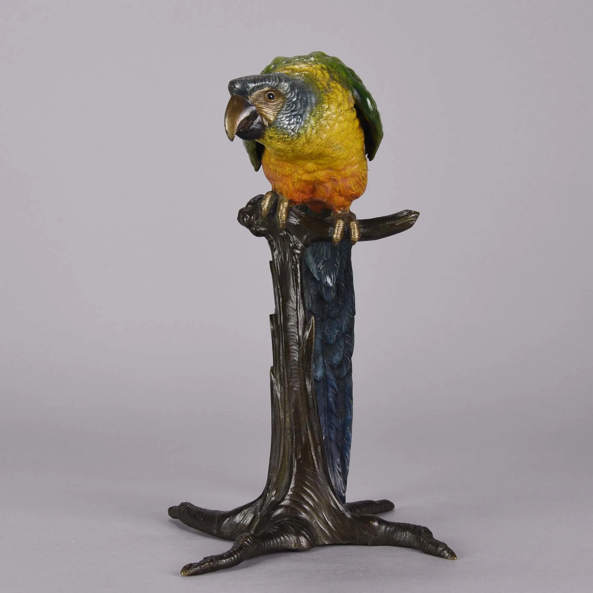 "Parrot on Branch" by Franz Bergman